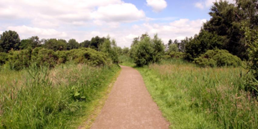 Foto van natuur heide wandelpad | Archief EHF