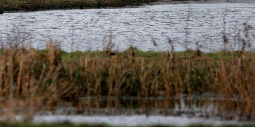 Dronevlieger vrijgesproken van opzettelijk veroorzaken dierenonrust Oostvaardersplassen