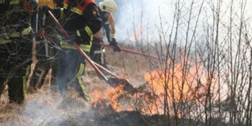 Grote natuurbrand in Drentse Alteveer