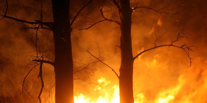 Grote brand in de Deurnese Peel