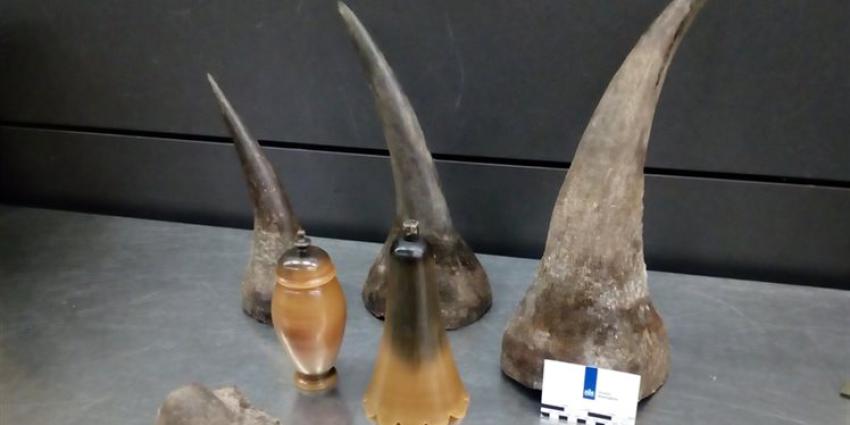 Douane treft neushoorn hoorns aan in bagage op Schiphol