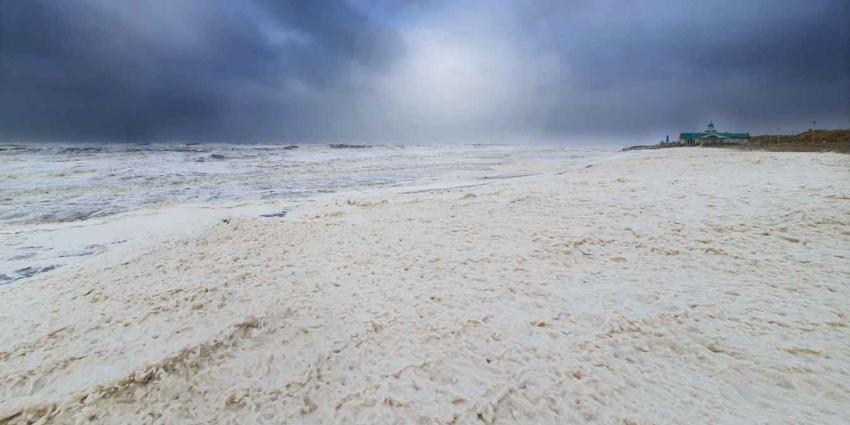 Storm en slijmalg zorgen voor hagelwitte stranden 