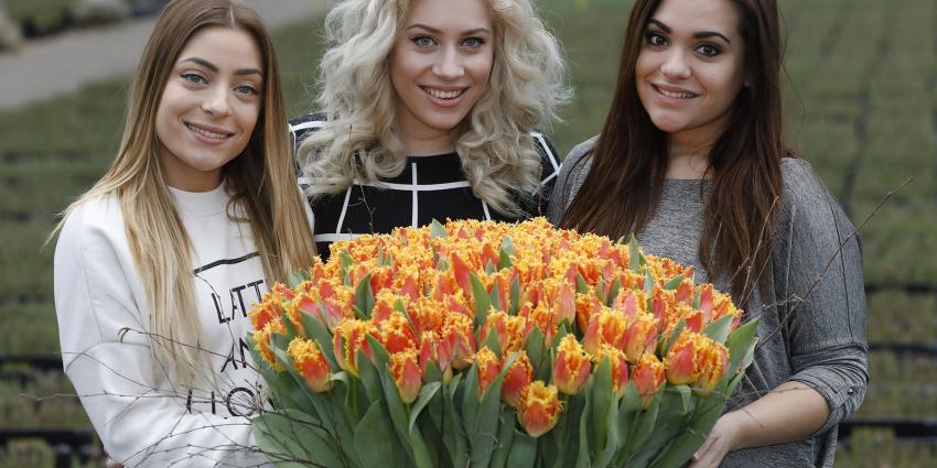 Eigen tulp voor OG3NE