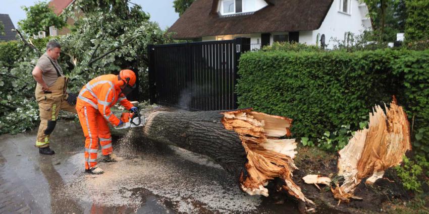 omgewaaide-boom-brandweer-villa