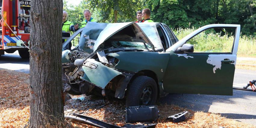 Auto total loss na aanrijding met boom