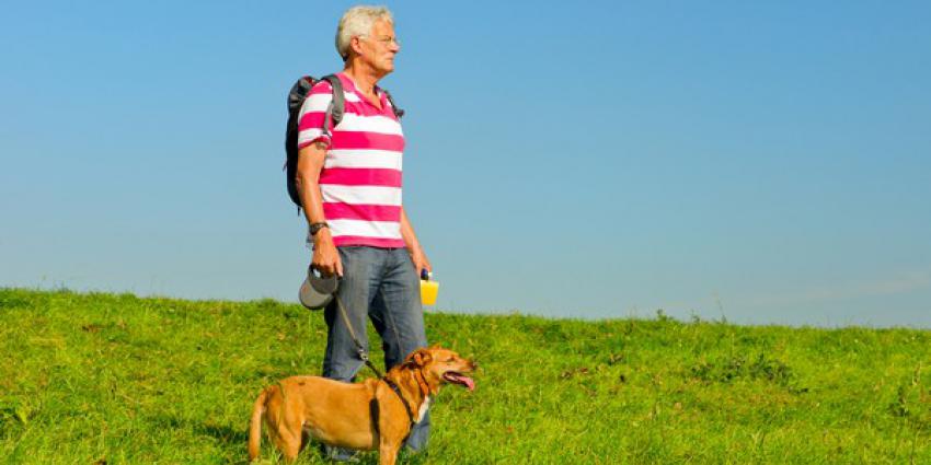 Loslopende honden graven gaten in Friese dijken 