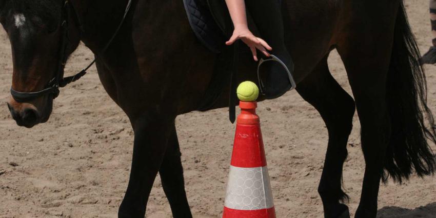 Paarden slaan op hol, zes gewonden