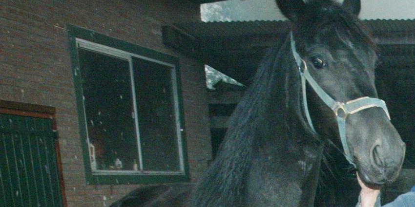 Politie stuit op drugslab in paardenstallen