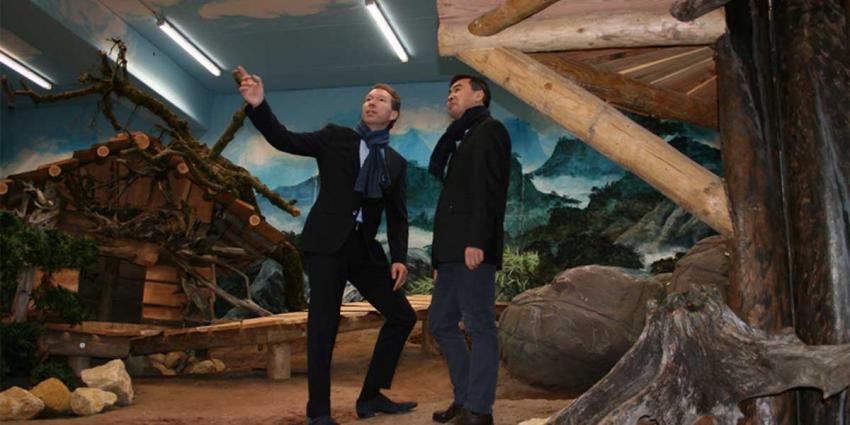 Chinese delegatie inspecteert reuzenpandaverblijf Pandasia in Rhenen