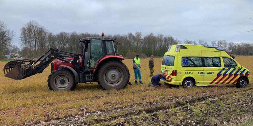 Parachutist uit Noorwegen landt in Drentse boom