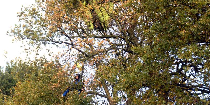 parachutiste beland in boom