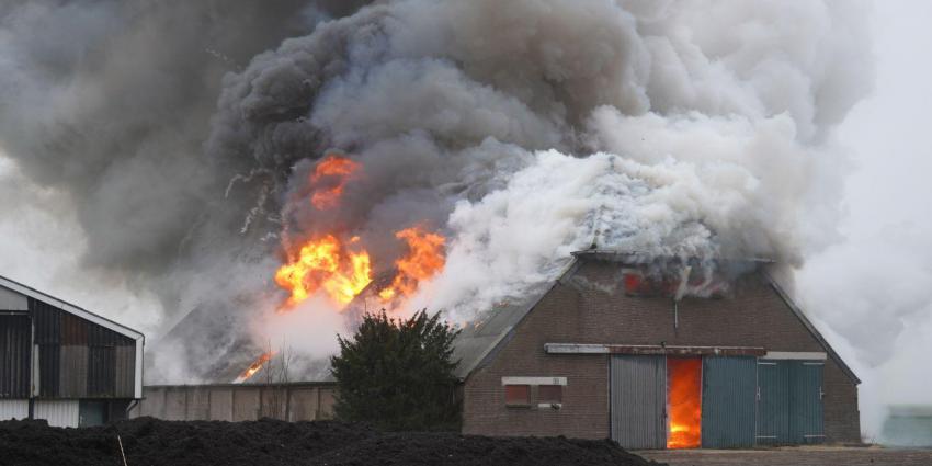 Grote  brand
