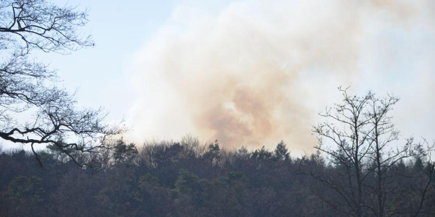 Natuurbrand in Alteveer