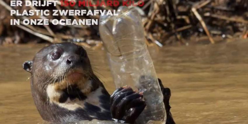 Milieuorganisatie Greenpeace start petitie omdat Coca-Cola de zee flest