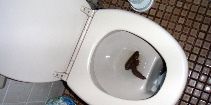 Groot onderzoek naar diarreeveroorzakende bacteriën STEC en EHEC