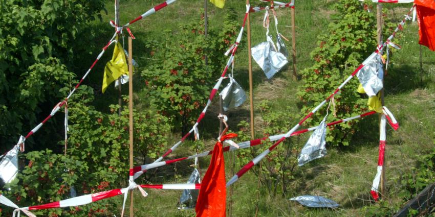 Twee miljoen voor proeftuin