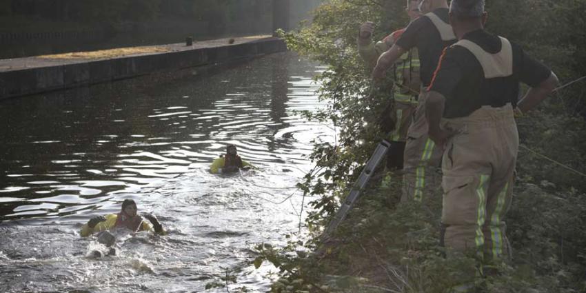 Brandweer redt hert van verdrinkingsdood