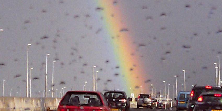 Regenboog-zebrapad voor hoofdkwartier Verenigde Naties 