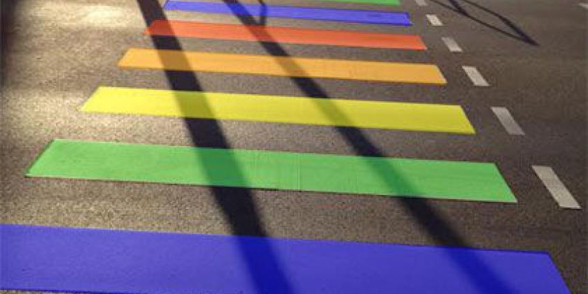 Ingebruikname regenboogzebra in Leek