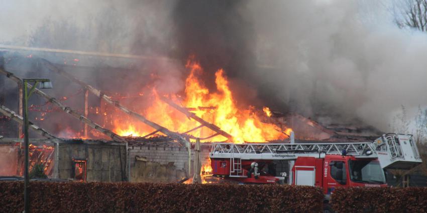 Brand in 't Dommeltje