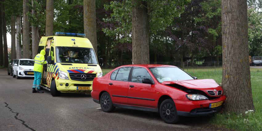 Auto tegen boom
