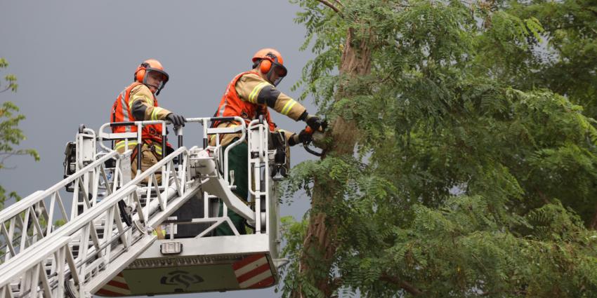 Brandweer zaagt boom om