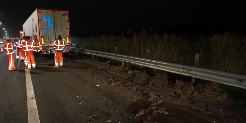 bergers bekijken ravage