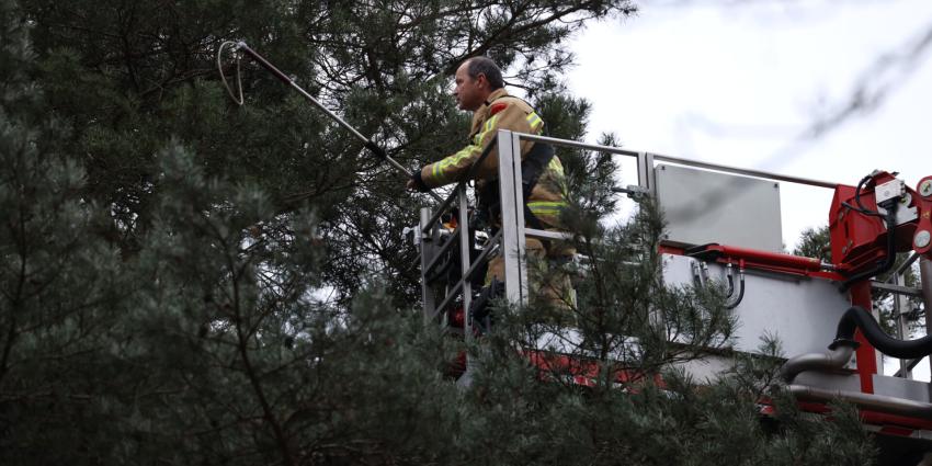 Brandweer met hoogwerker
