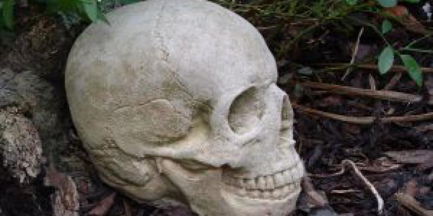 Menselijke resten gevonden in Tiel