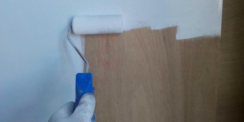 schilder-roller-verf