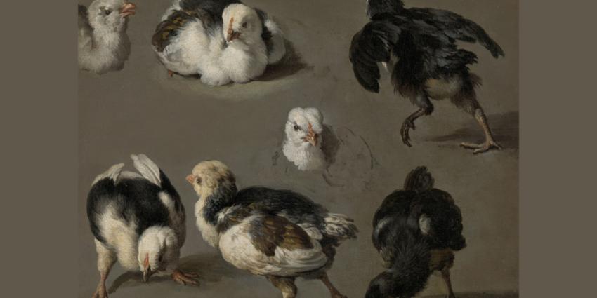 Foto van schilderij 'zeven kuikens' van Melchior D'Hondecoeter | Rijksmuseum