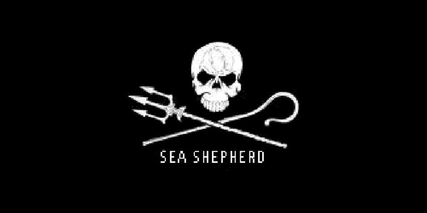 foto van Sea Shepherd