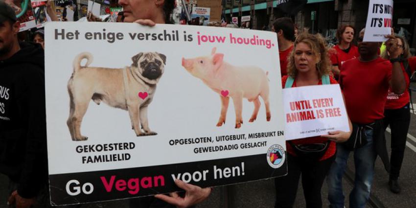 Dierenliefhebbers protesteerden in Amsterdam tegen slachthuizen