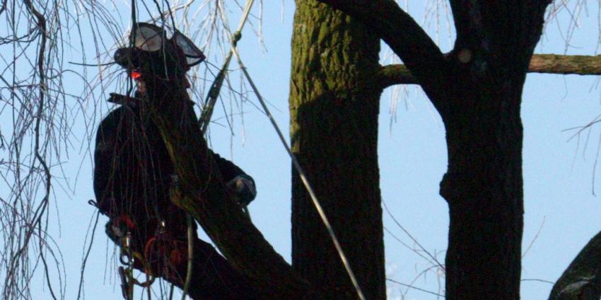 Man overleden bij snoeiwerkzaamheden in Vlaardingen