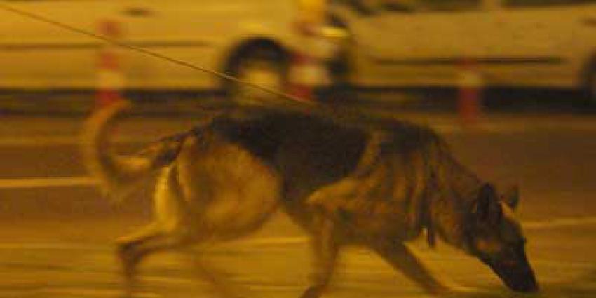 geurhond-speurhond-BON2020