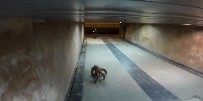 De wereldwijd tien best bekeken YouTube filmpjes van 2014