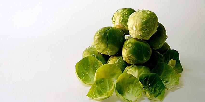 Export spruitjes naar recordhoogte