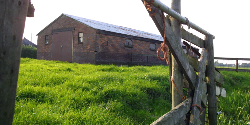 OM eist stillegging veehouderij vanwege erbarmelijke omstandigheden runderen