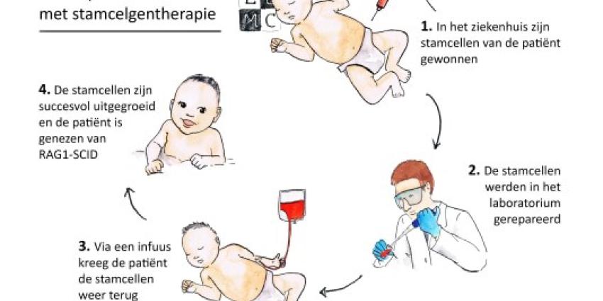  stamcelgentherapie