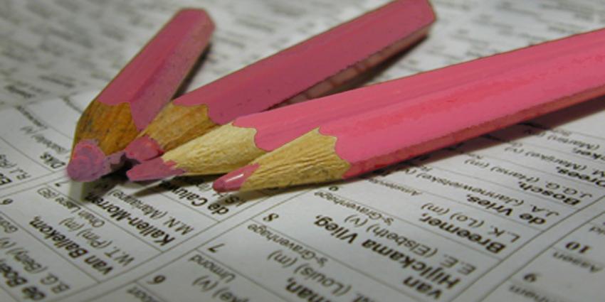 Foto van roze potloden stemmen verkiezingen | Archief EHF