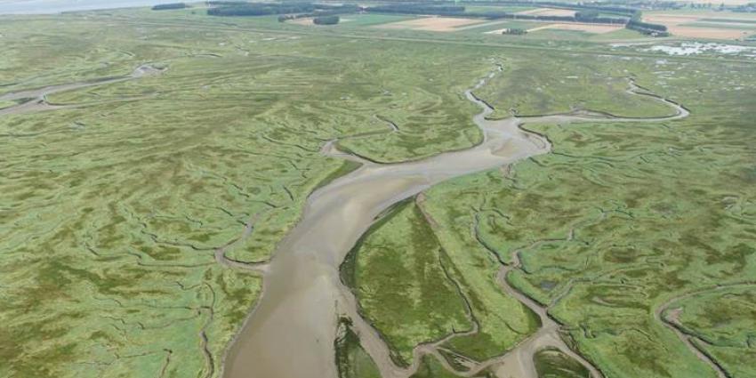 stijging, zeespiegel, minder, impact