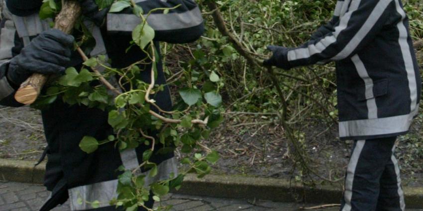 Bomen breken bij Breukelen af als lucifershoutjes