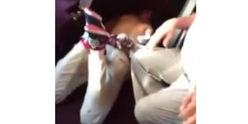 'Man die bloedbad wilde aanrichten in Thalys was Syriëganger' (video)