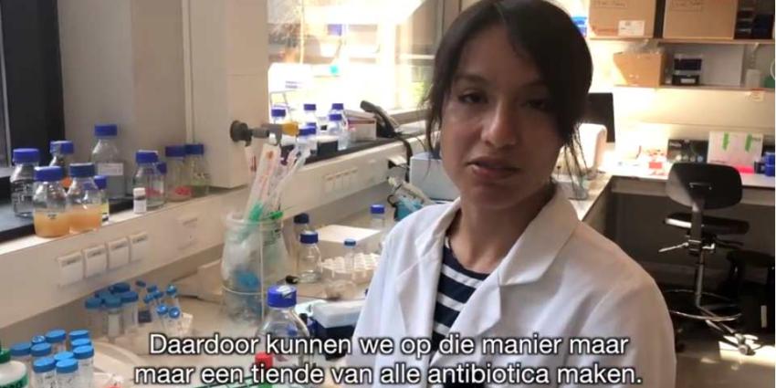 Bacteriën als levende fabriekjes voor de productie van antibiotica