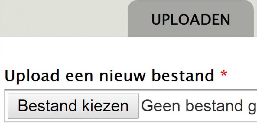 Stichting BREIN krijgt toestemming om IP-adres uploaders te registeren