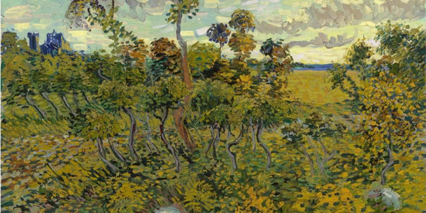 Foto van schilderij 'Zondsondergang bij Montmajour' van Vincent van Gogh | Van Gogh museum