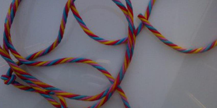 Hondenskelet gevonden, politie zoekt tips