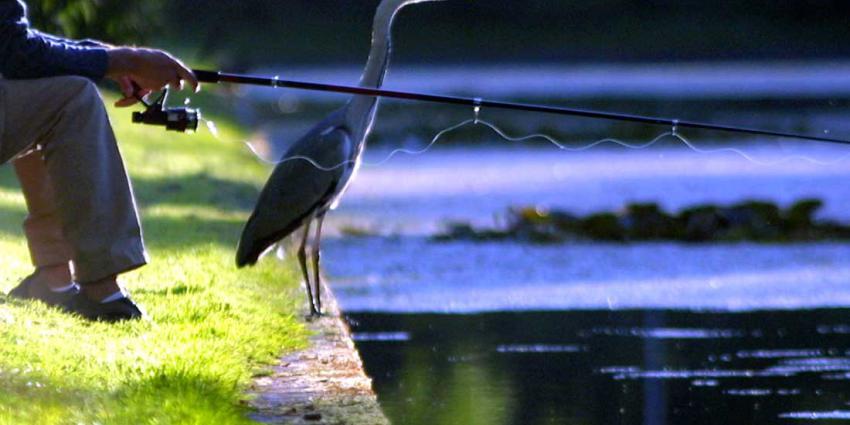 Opnieuw zoekactie visvijver in onderzoek Andy de Heus