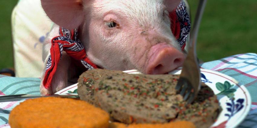 Voor Greta, het klimaatmeisje