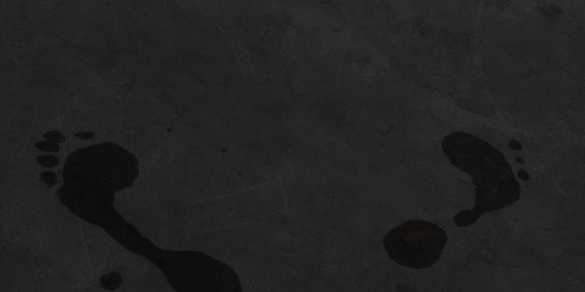 Insluiper opgespoord door voetafdrukken in rijp op dak